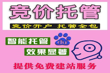 sem运营公司：数字营销的先锋